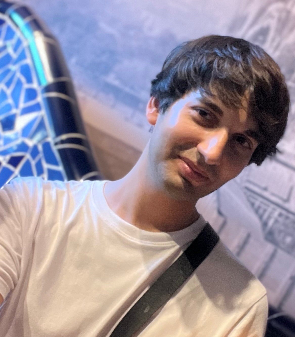 Descripción de la imagen